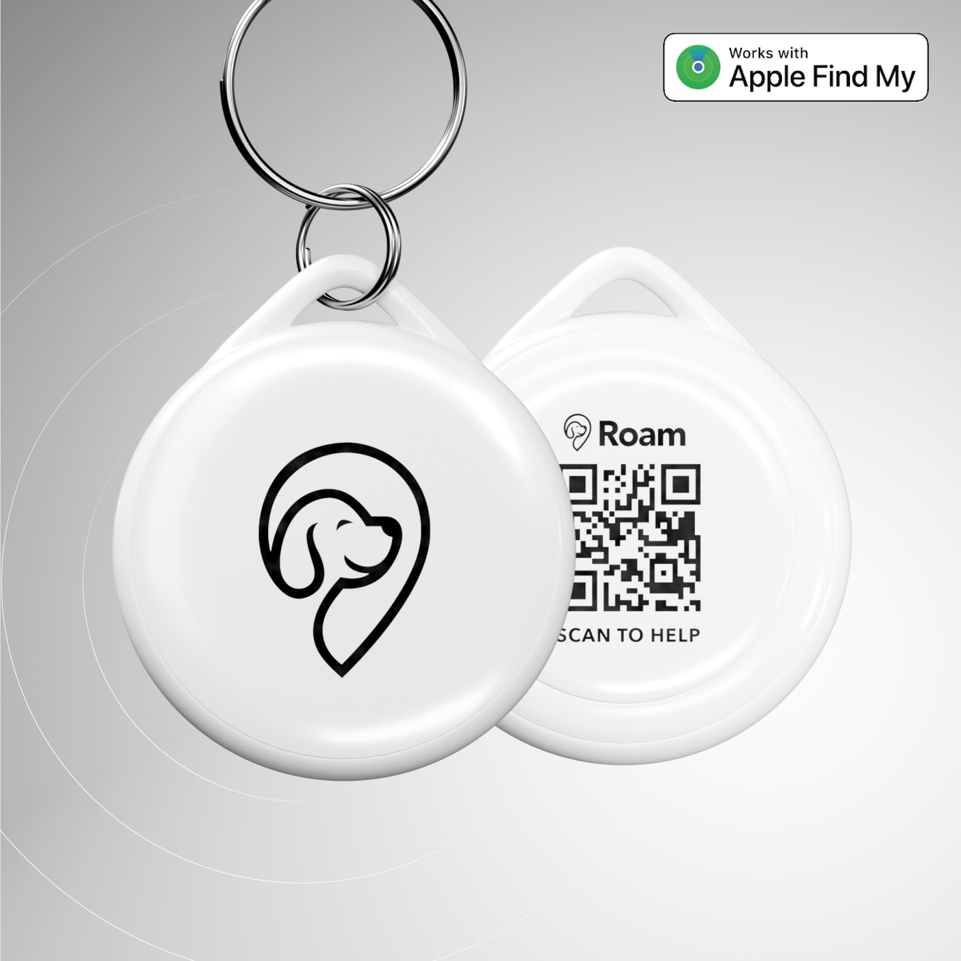 Roam Tag